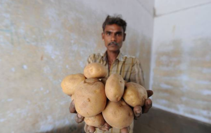 Pepsico Withdraws Case Against Gujarat Potato Farmers Newsclick